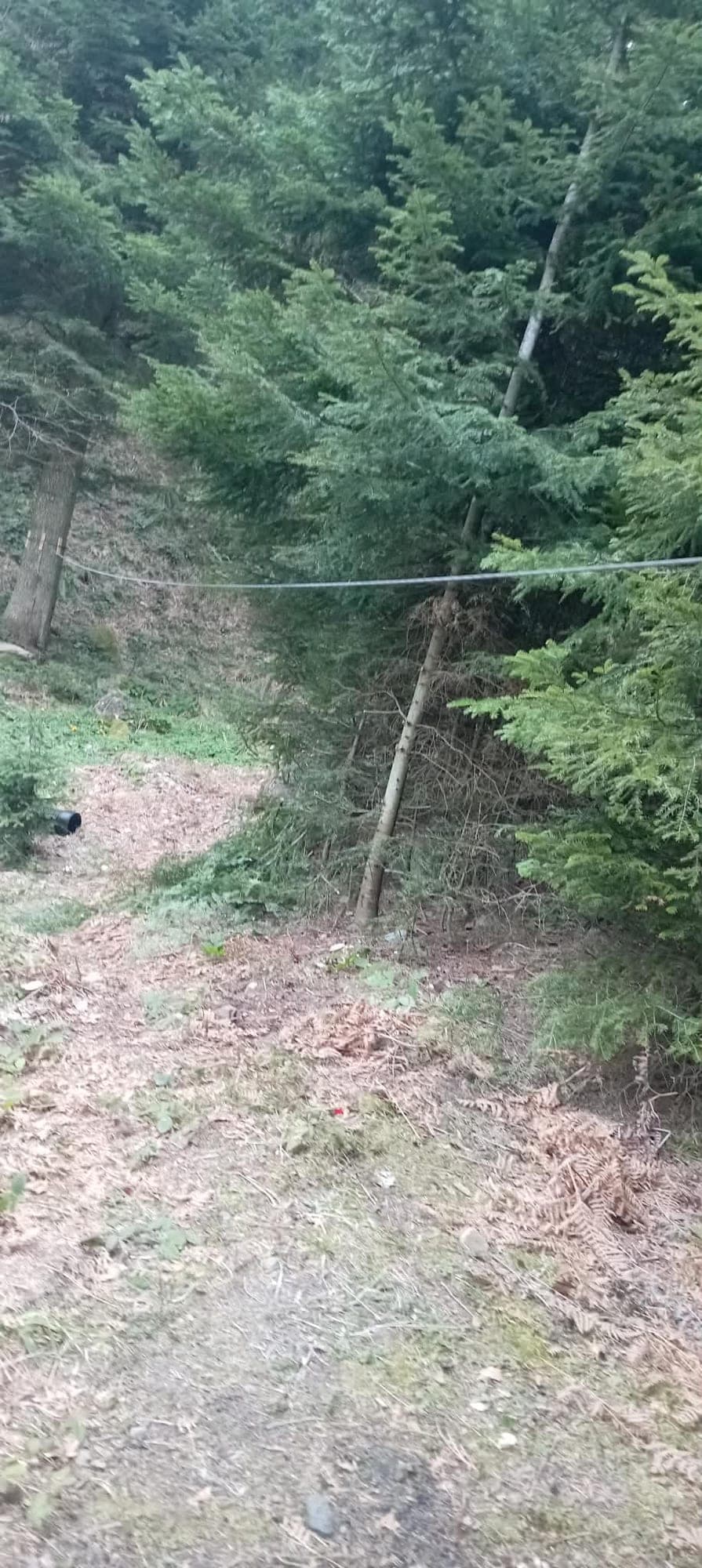 PD "Mahnjača 1358" Željezno Polje napravilo avanturistički park bez betona i sječe šume